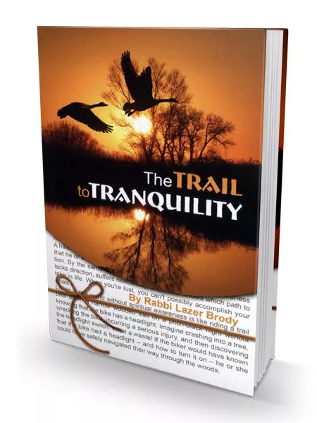 The Trail Of Tranquility